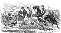 horse racing illustration