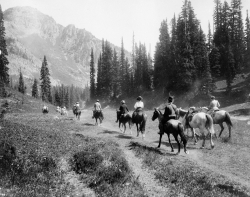 Horseback riders on the trail