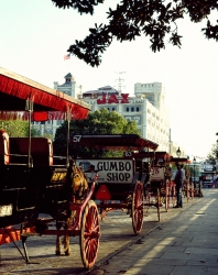 Horses and buggies waiting for fares in front of Jackson Square