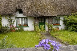 Irish Country House with flowers and thatched roof