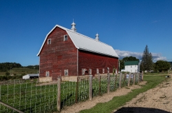 large-red-dairy-barn-in-richland-county-wisconsin-2