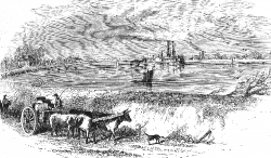 levee mississippi river historical illustration