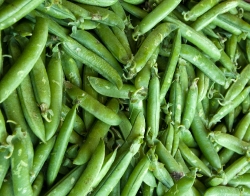 Loose Fresh Peas At Farmers Market Photo