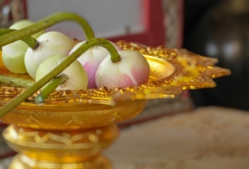 lotus flowers on gold plate