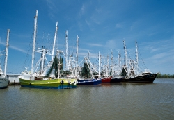 Louisiana shrimp boats
