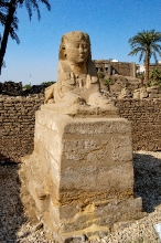 luxor temple egypt -46