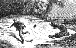 man running from alligator illustration