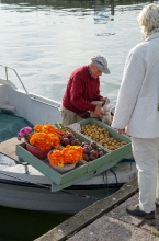 Man Selling Vegetables From His Boat Finland 