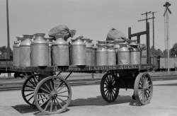 Milk which has arrived by train Caldwell Idaho 1940