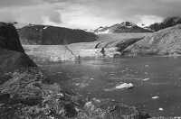 muir and riggs glaciers muir inlet alaska in 1950