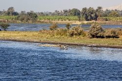 nile river egypt 6045