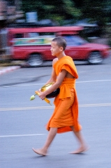 Offering Food to Buddhist Monk