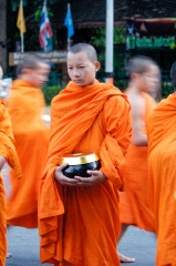 Offering Food to Buddhist Monk