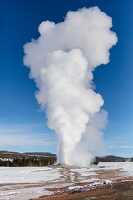 Old Faithful erupts on a clear winter day