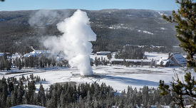 Old Faithful Geyser in winter from Observation Point