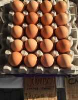 Organic brown eggs ready for sale