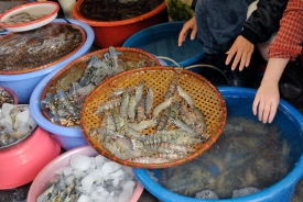 Outdoor Market scenes from Hanoi Vietnam