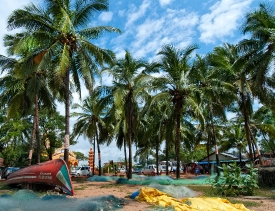 Palm Trees on the Beach Goa India