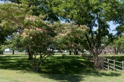 Part of the grounds of the Lyndon B. Johnson Ranch