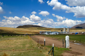 Peruvian Altiplano Landscape