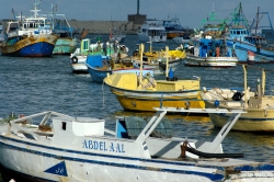 photo boats in harbor alexandria egypt 5274