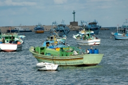 photo boats in harbor alexandria egypt 5279
