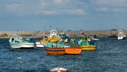 photo boats in harbor alexandria egypt 5295
