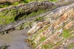 photo closeup of rock formations with green algae