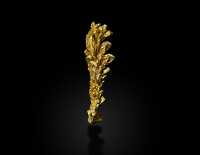 photo of mineral native gold