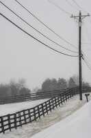 photo of snow covered road with telephone wires
