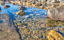 photo rocky shoreline low tide with tide pools