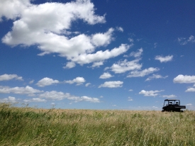 photo-field-with-blue-sky-south-dakota