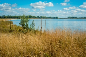 photo-native-grasses-along-banks-of-missouri-river-south-dakota