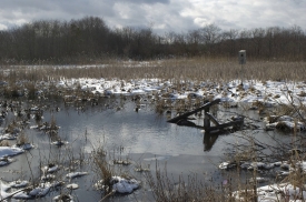 photo-winter-view-of-water-and-open-marsh-new-jersey