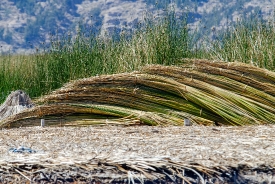 piles of reeds stacked on uros floating islands photo 32a