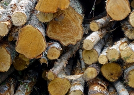 pile-wood-logs-closeup-norway