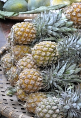 Pineapples Outdoor Market_19