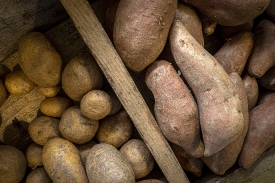 potatoes for sale at vegetable farm