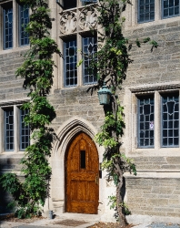 Princeton University Princeton New Jersey