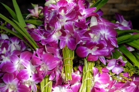 purple orchids market in thailand 015
