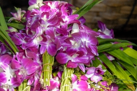 purple orchids market in thailand 016