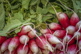 radishes for sale at vegetable farm