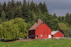 Red barn and outbuilding washington state