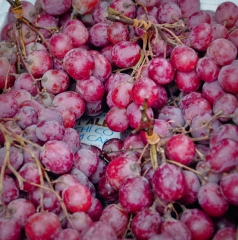 red Grape bunches