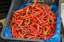 Red Peppers For Sale At Local Market Photo Image