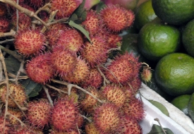 red spiky fruit 168A
