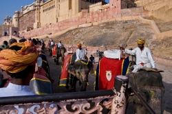 riding elephants in jaipur india