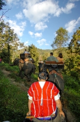 riding elephants n thailand 2035a