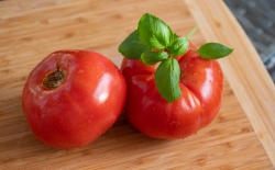 ripe whole tomatoes with fresh basil