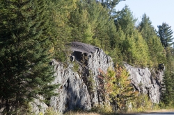 Rock cut covered by evergreen
